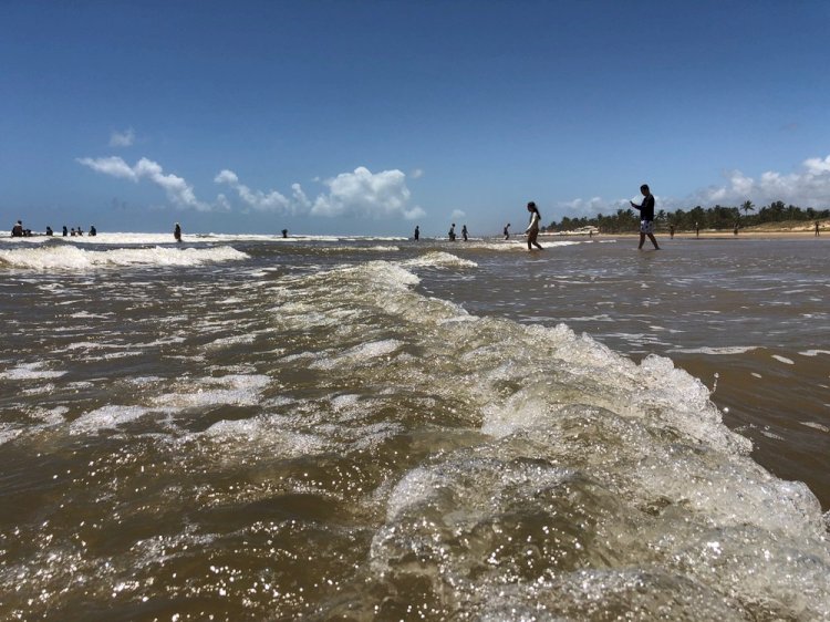 Conheça as praias que  estão liberadas para o banho em Sergipe